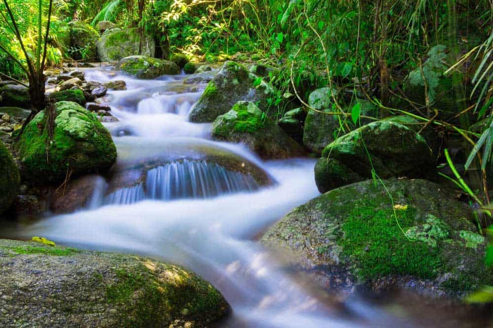 Wooroonooran National Park, Camp Destinations Near Cairns